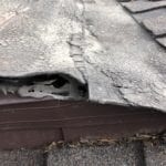 Roof with hole in it. New Roof Plus fixed this problem.
